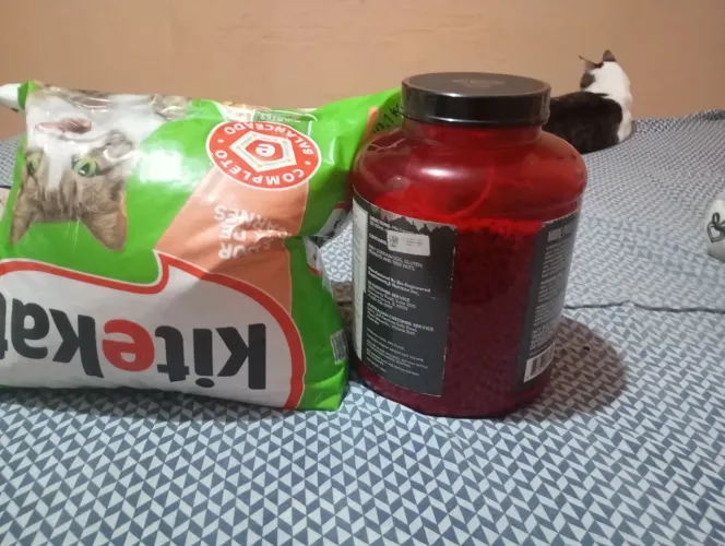 Ração KiteKat