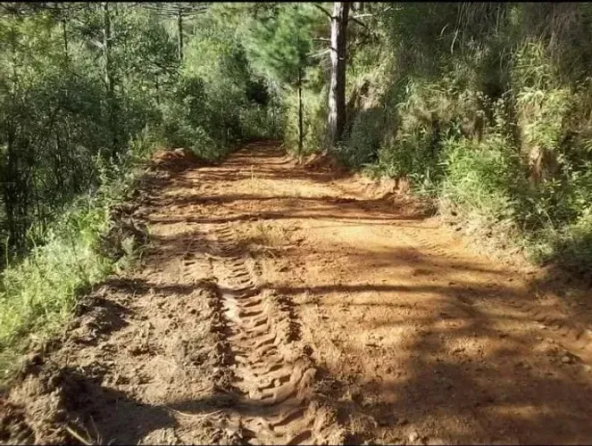 Maravilhoso sítio de 20,63 Hectares na bela Mantiqueira!! Delfim Moreira MG