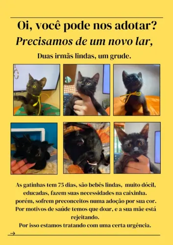 Adoção Responsável. 