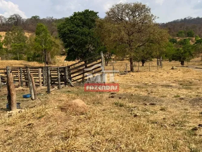Chácara (26.000 m2) Nova Veneza - GO