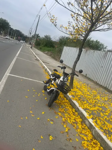 Motinha elétrica 60 via sem limitador pegando 50 km