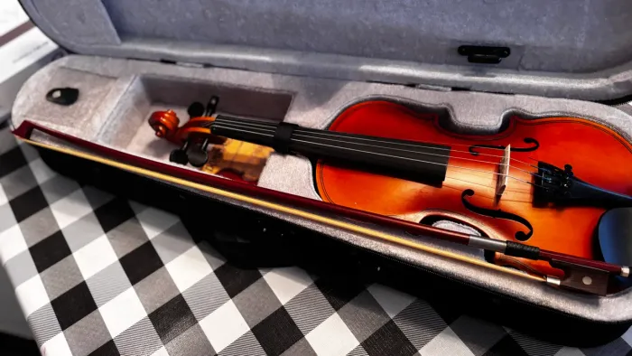 Vendo Violino profissional ( Marca Dominante)