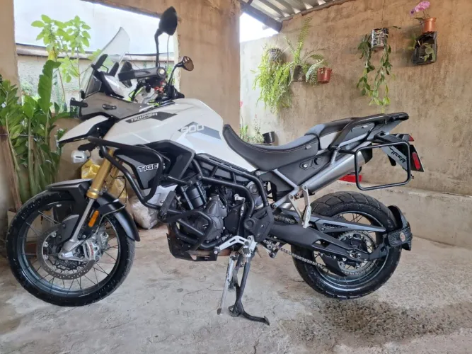 Tiger 900 Rally Pro