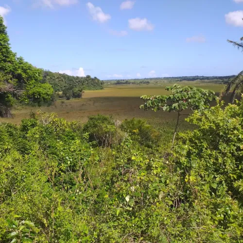 Chacará com 45 Hectares Grameme - Escritura Pública