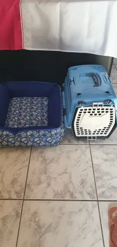 Caminha mais caixa de transporte pet porte pequeno