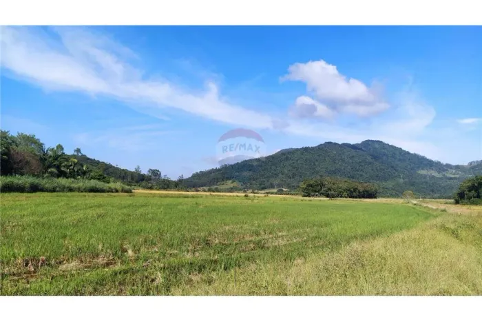 Liberdade de viver no campo e estar próximo da cidade!!