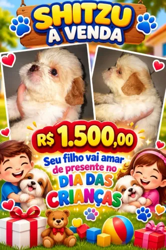 Cachorro shitzu