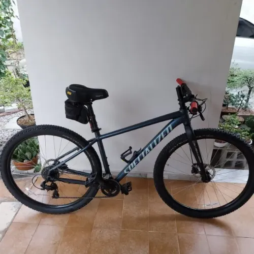SPECIALIZED ROCKHOPPER ARO 29.