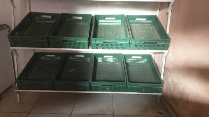 Fruteira expositora com 12 basquetas 