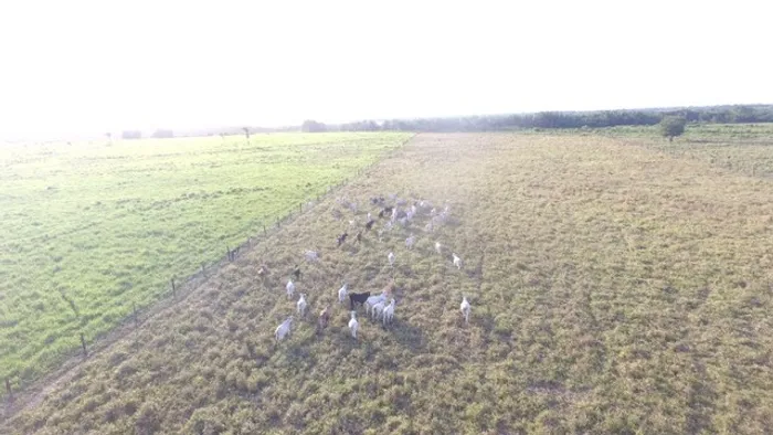 R$5 milhões 227 hectares nas margens da Pa 154 km de Belém