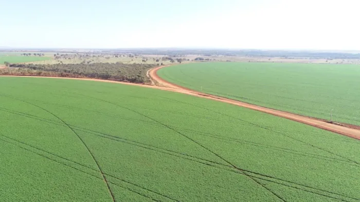 R$220 Milhões Fazenda de 1.465 ha Paracatu - MG