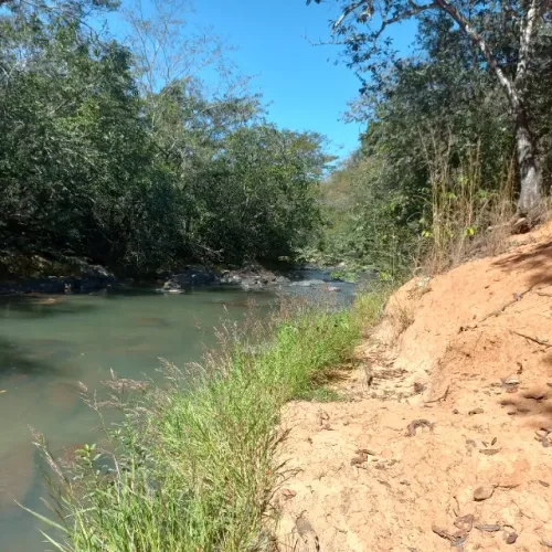 Vendo fazenda em Unaí MG 16,5 alqueires formada estruturada para pecuária