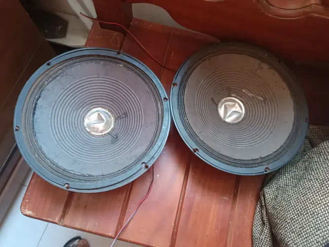 Par de alto-falantes 10 Pol  para som automotivo 