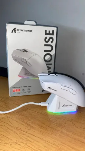 Mouse Branco