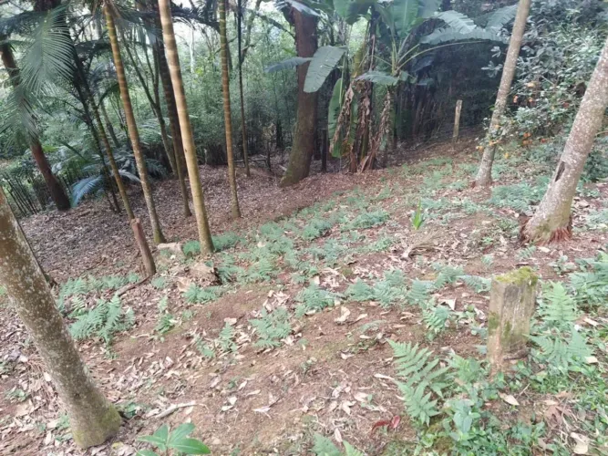 Terreno com 1720m mts por R$155.000 no Joaquim Alves - Santo Antonio do Pinhal - SP