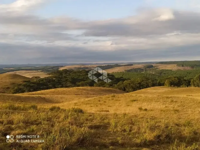 Sitio localizado em São Francisco de Paula