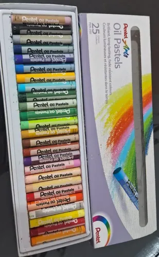 giz pastel oleoso 25 cores pentel