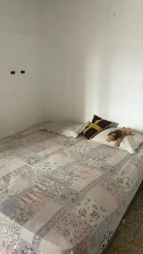 CAMA KING