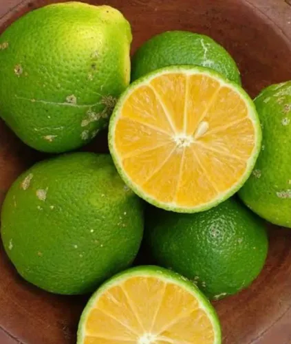 Limão - limão orgânico cravo 500g