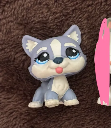 Littlest petshop husky