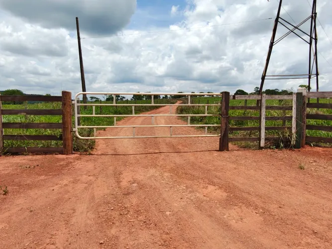 Fazenda de 30,7 Alqueires Goianos em Santa Cruz de Goiás  Casa Sede, Estrutura Pecuária