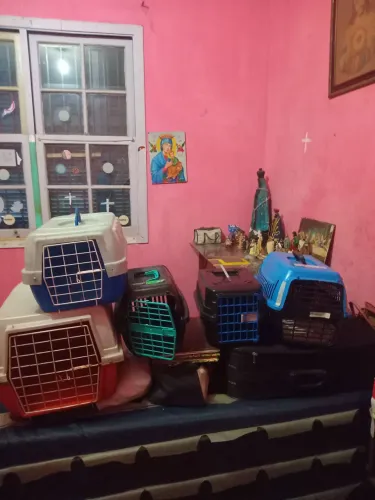 Vende-se Caixas de Transporte de animais