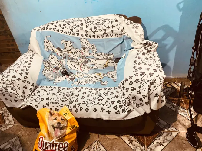 Conjunto sofá dois e três lugares