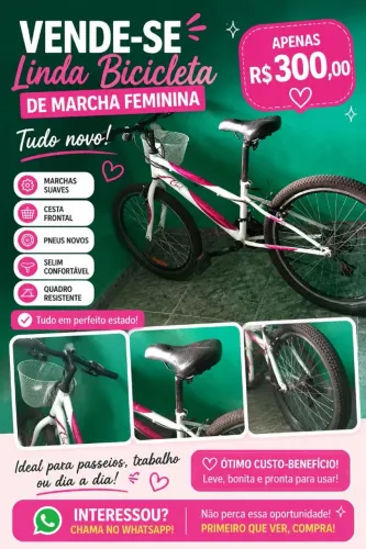 Vendo essa bicicleta. Femina com macha.