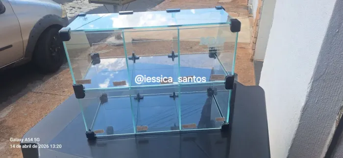 Baleiro de Vidro 6 Bocas 