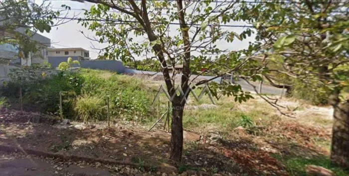Lote para Locação no Belvedere | 490 m²