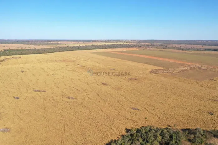 Vendo!!!  fazenda pecuária de 3.500 hectares no estado do Mato Grosso MT