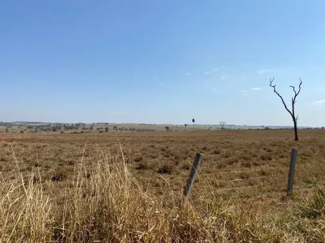 FAZENDA COM 508 HECTARES EM LINS