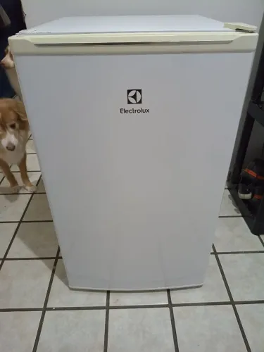 Frigobar Electrolux 122L Efficient com Controle de Temperatura Cor Branca | EcoPlus