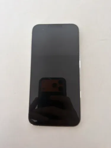 iPhone 13 Pro Max 256GB