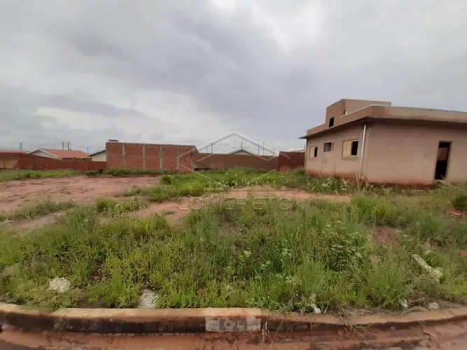 Terreno Padrão em Macatuba