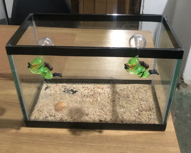 Aquario