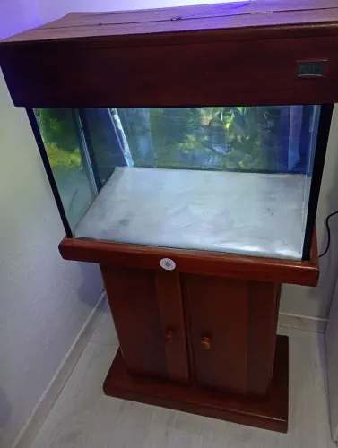 Aquário 72 L com acessórios