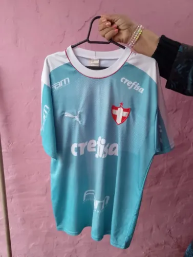 2 camisetas do Palmeiras G