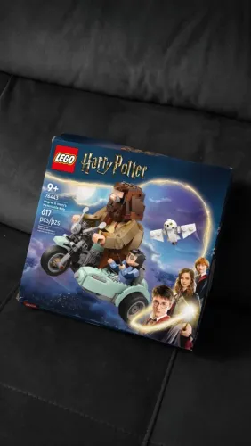 Lego Harry Potter Hagrid 76443 - Completo