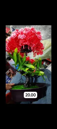 Planta artificial