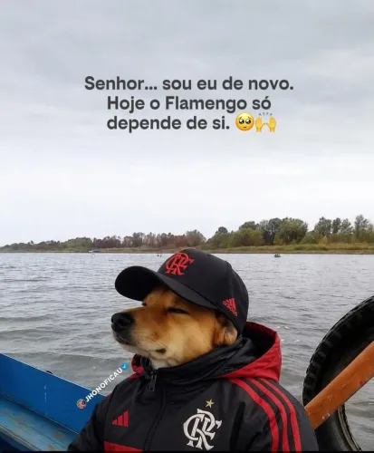 Celular de casa