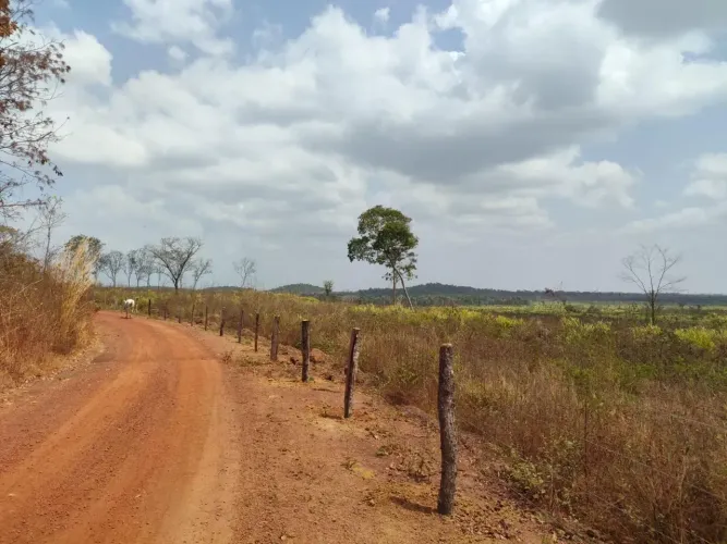 VENDO FAZENDA NO MUNICÍPIO DE COROATÁ - 800h - Há 02 km do asfalto - MA 232