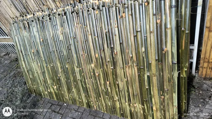 Cerca de bambu