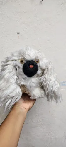 Pelúcia cachorro antigo anos 60