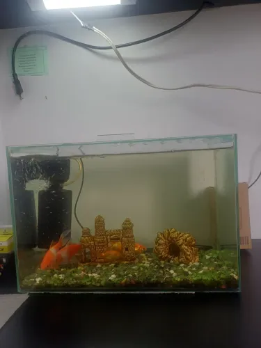 Vendo aquario de 40 litros, completo.
