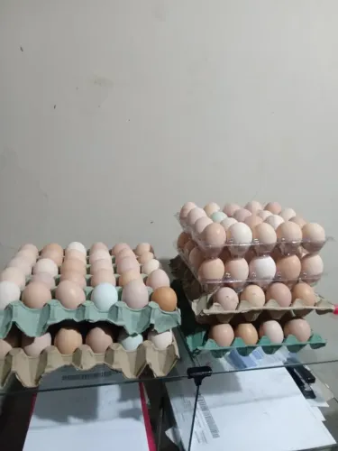 Ovos caipira direto da fazenda