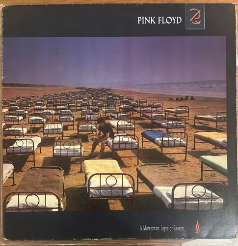 Pink Floyd - A Momentary Lapse Of Reason Lp Vinil (Usado)