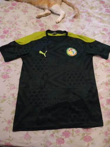 Camisa seleção Senegal