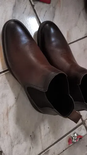Bota democrata 