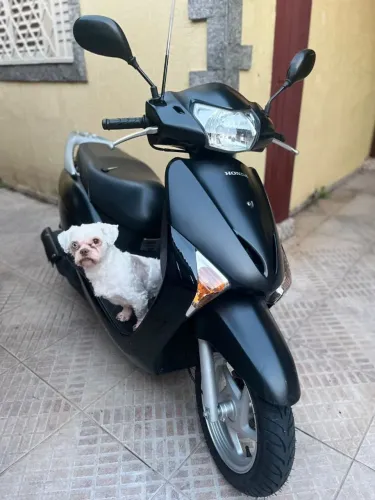 Honda lead 110 